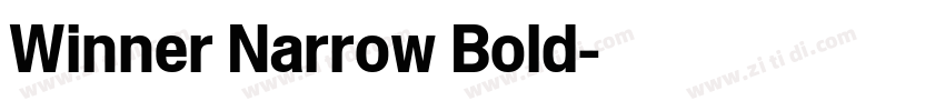Winner Narrow Bold字体转换